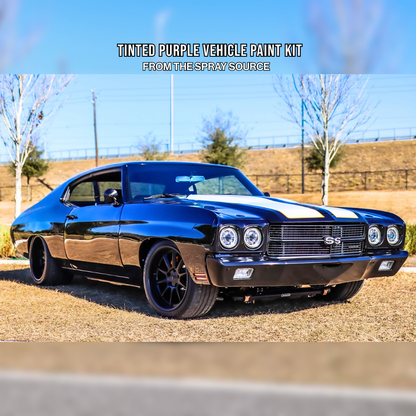 Tinted Purple Vehicle Paint Kit