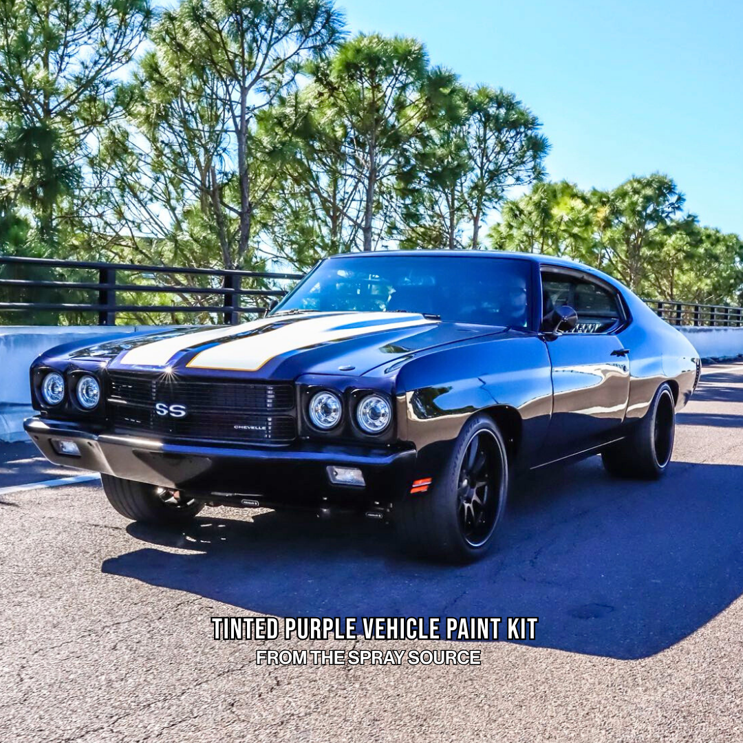 Tinted Purple Vehicle Paint Kit