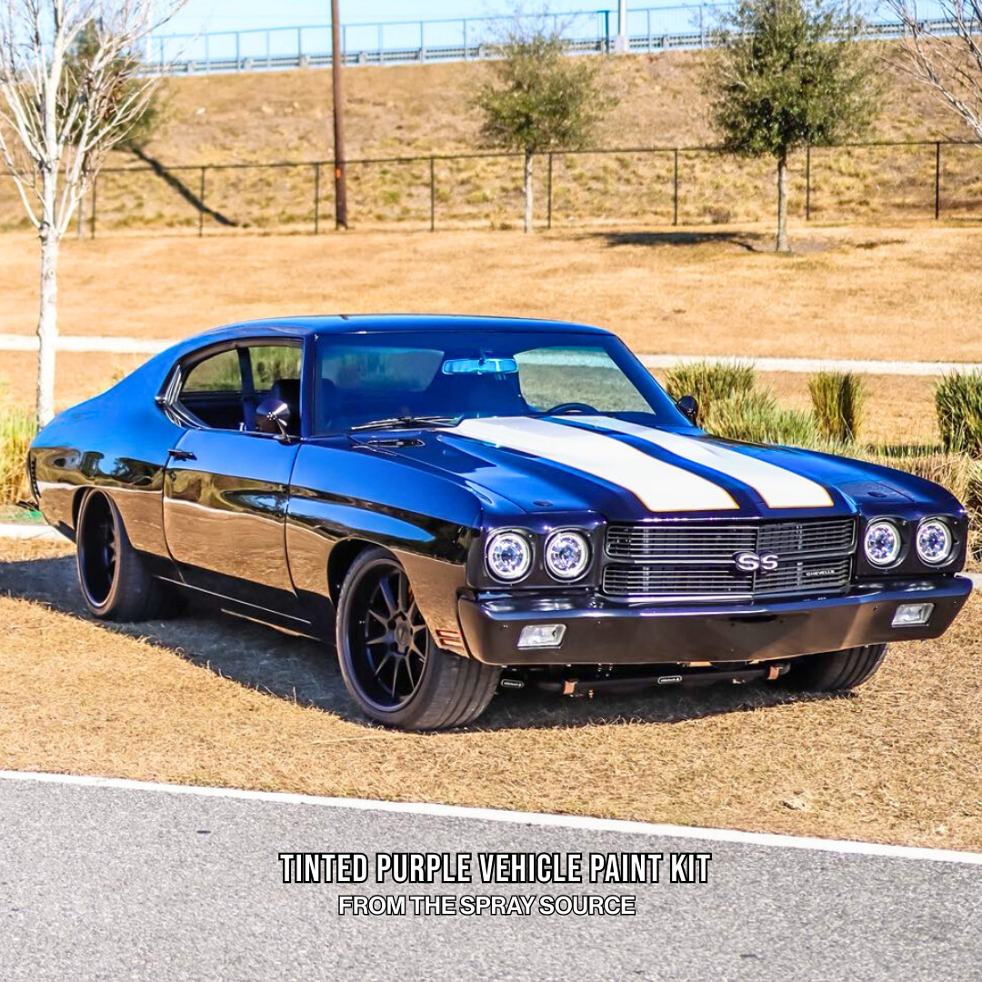 Tinted Purple Vehicle Paint Kit