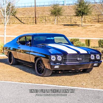 Tinted Purple Vehicle Paint Kit