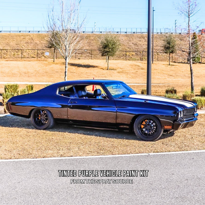 Tinted Purple Vehicle Paint Kit