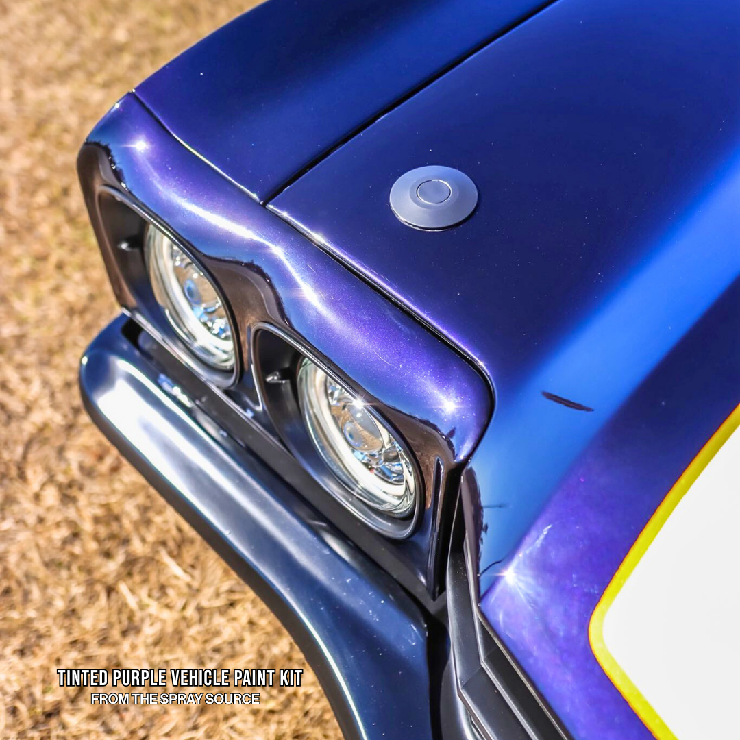 Tinted Purple Vehicle Paint Kit