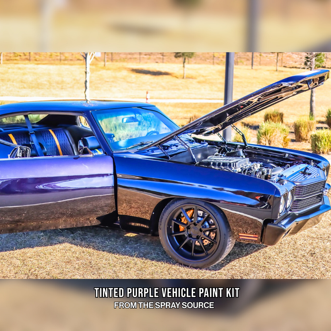 Tinted Purple Vehicle Paint Kit