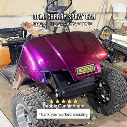 Opal Cherry Vehicle Paint Kit