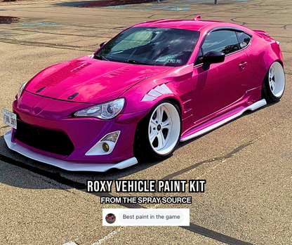 Roxy Vehicle Paint Kit