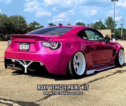 Roxy Vehicle Paint Kit
