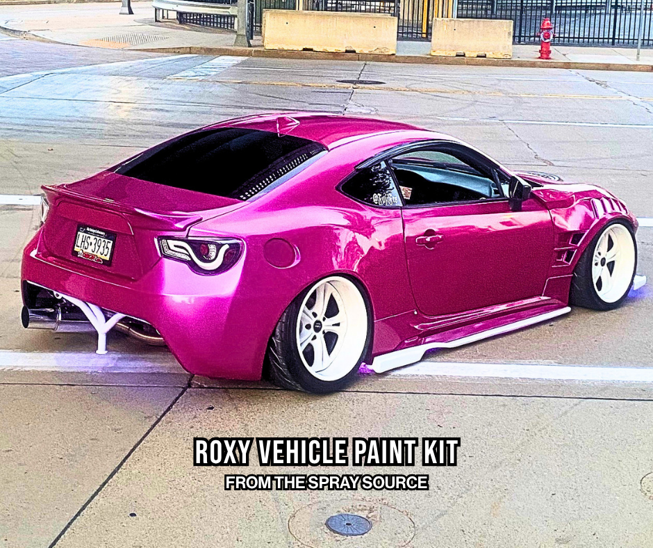 Roxy Vehicle Paint Kit