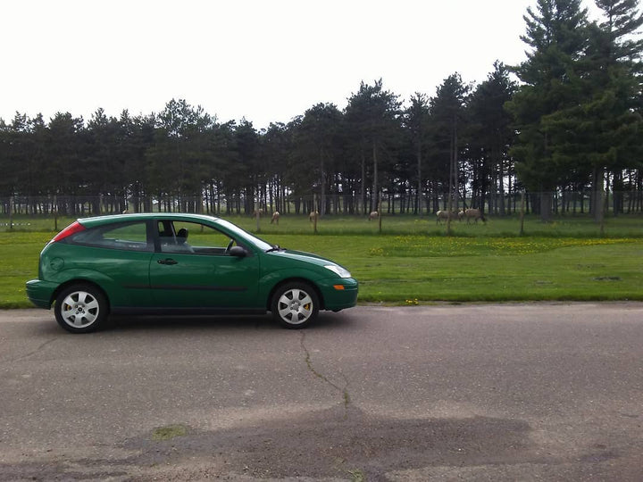 Ford Grabber Green M7053 | OEMatch Basecoat