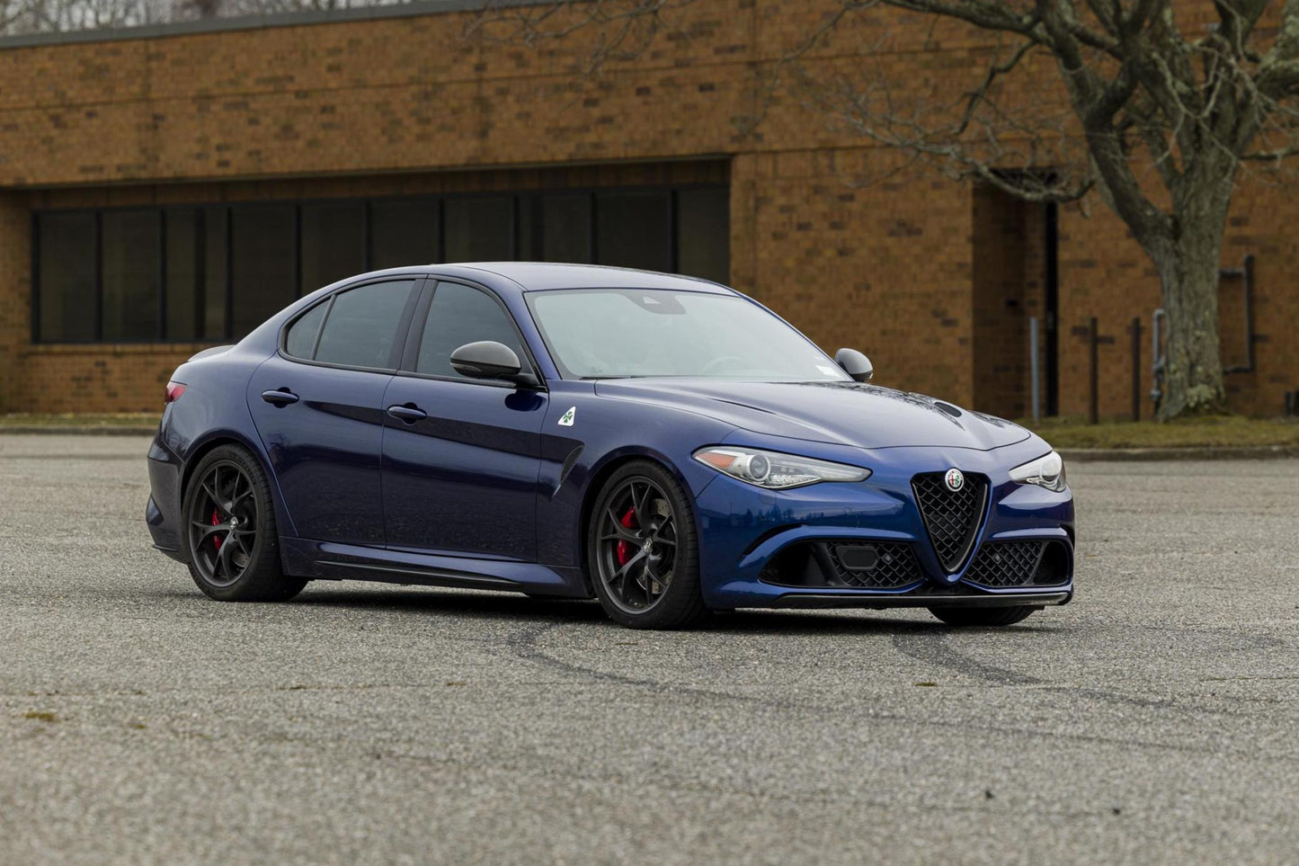 Alfa Romeo Blu Montecarlo Metallic 203B | OEMatch Basecoat