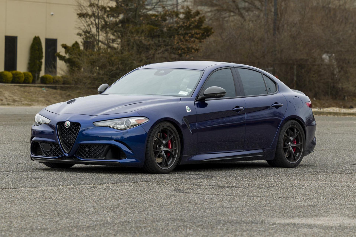 Alfa Romeo Blu Montecarlo Metallic 203B | OEMatch Basecoat