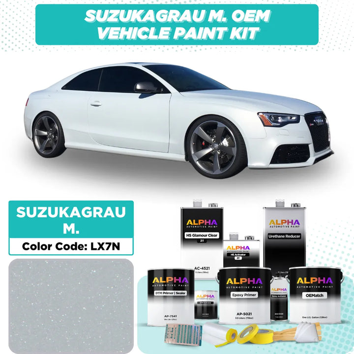 Volkswagen / Audi Suzuka Gray Metallic LX7N | OEMatch Vehicle Paint Kit