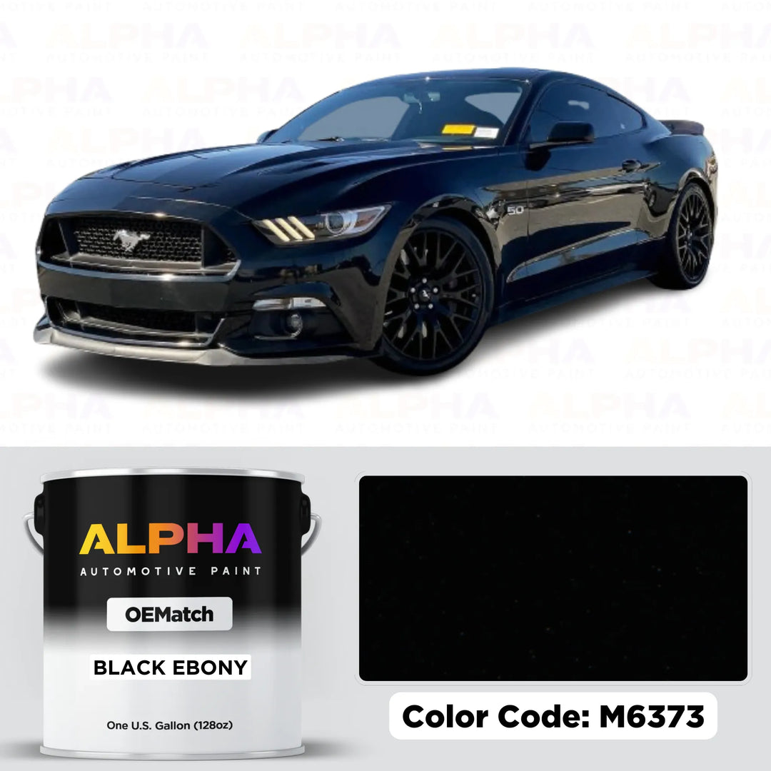 FORD USA BLACK EBONY M6373 / UA-6373 | OEMatch Basecoat