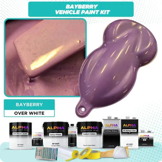 Bayberry Vehicle Paint Kit