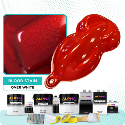 Blood Stain Vehicle Paint Kit