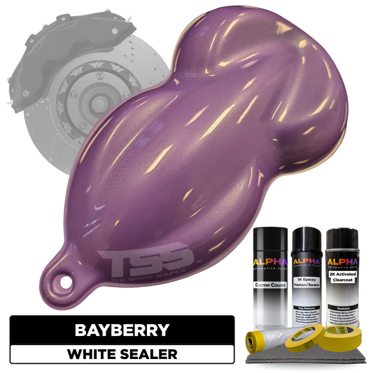 Bayberry Brake Caliper Paint Kit