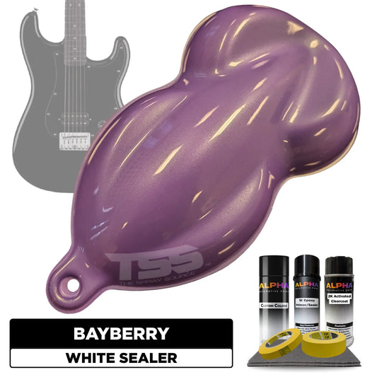 Bayberry Guitar Paint Kit