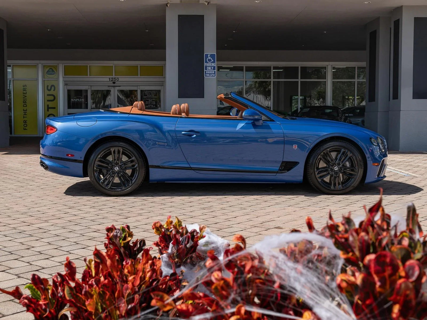 BENTLEY NEPTUNE M. K5W | OEMatch Basecoat