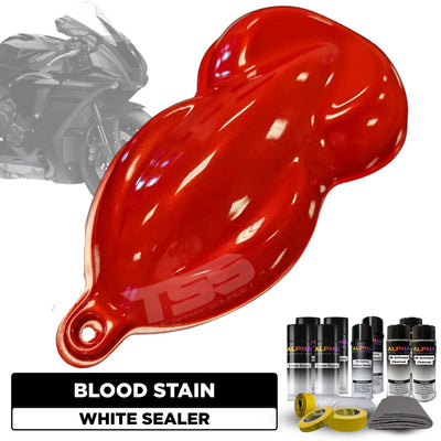 Blood Stain Motorcycle Paint Kit