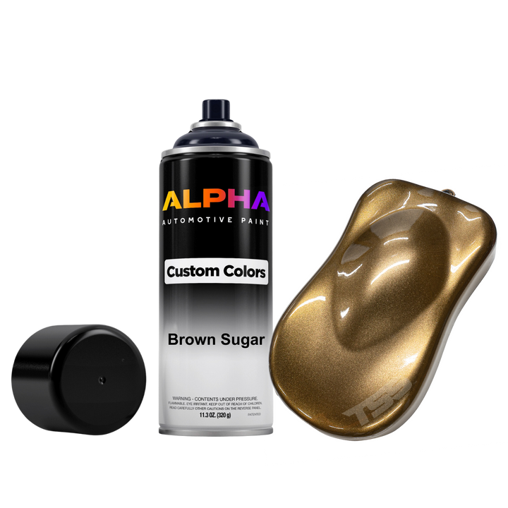 Brown Sugar Bike Paint Kit - Gloss