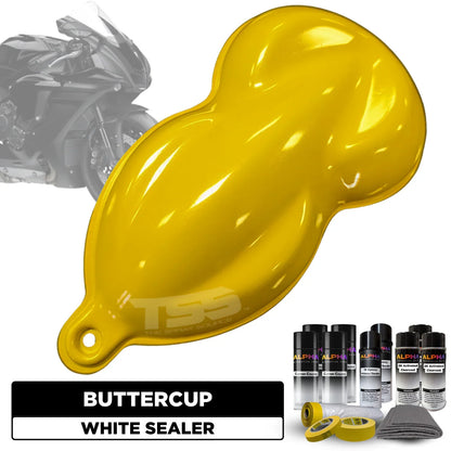 Buttercup Motorcycle Paint Kit