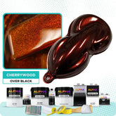 TSS Car Paint Kits - Professional and DIY – The Spray Source
