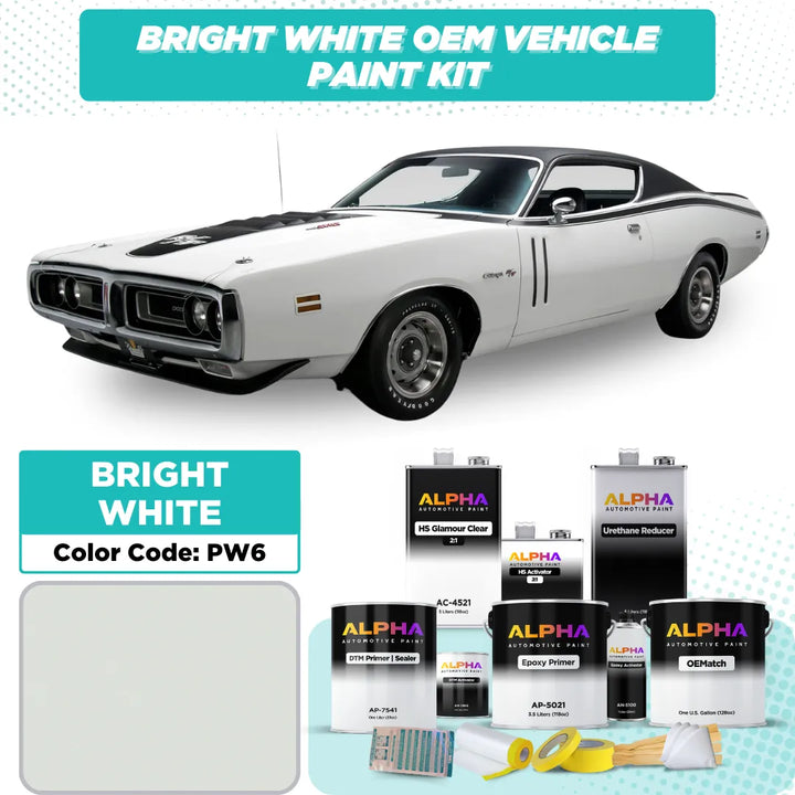 Chrysler Bright White PW6 | OEMatch Vehicle Paint Kit