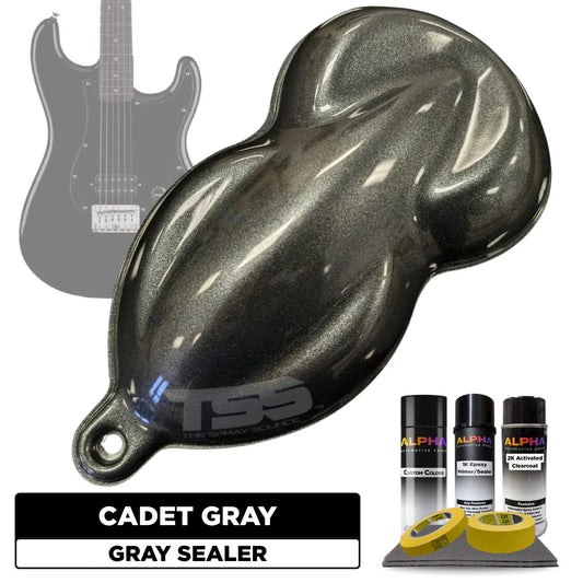 Cadet Gray Guitar Paint Kit