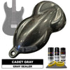 Cadet Gray Guitar Paint Kit