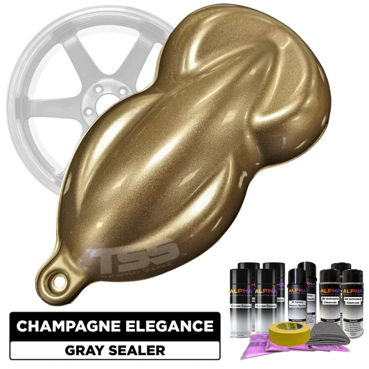 Champagne Elegance Wheel Paint Kit