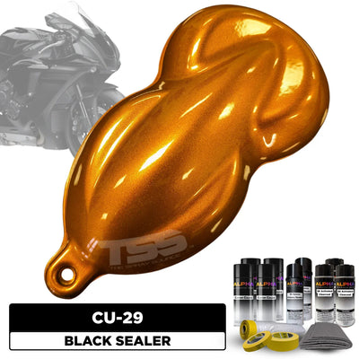 Cu-29 Motorcycle Paint Kit