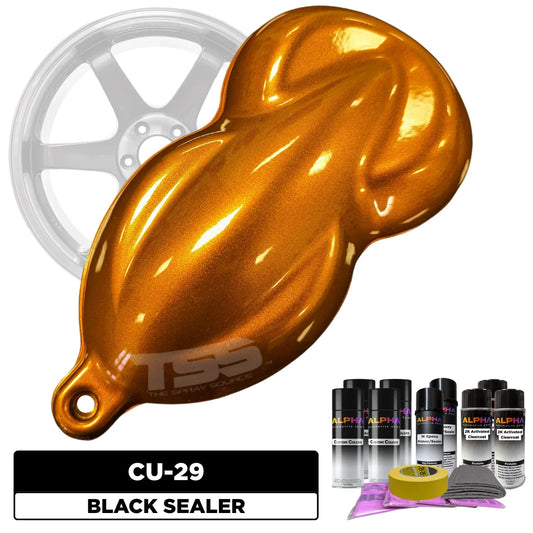 Cu-29 Wheel Paint Kit