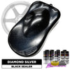 Diamond Silver Wheel Paint Kit