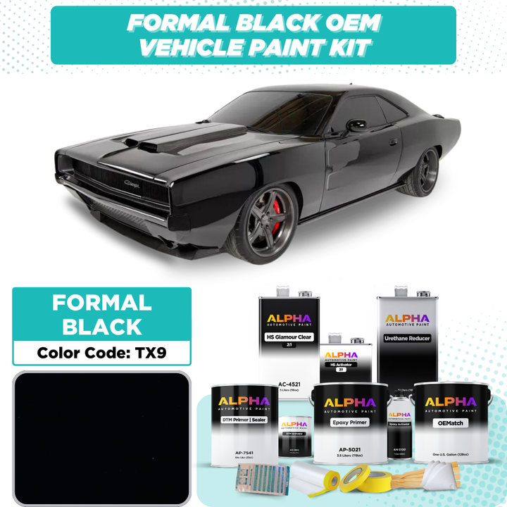 Dodge Formal Black TX9 | OEMatch Vehicle Paint Kit