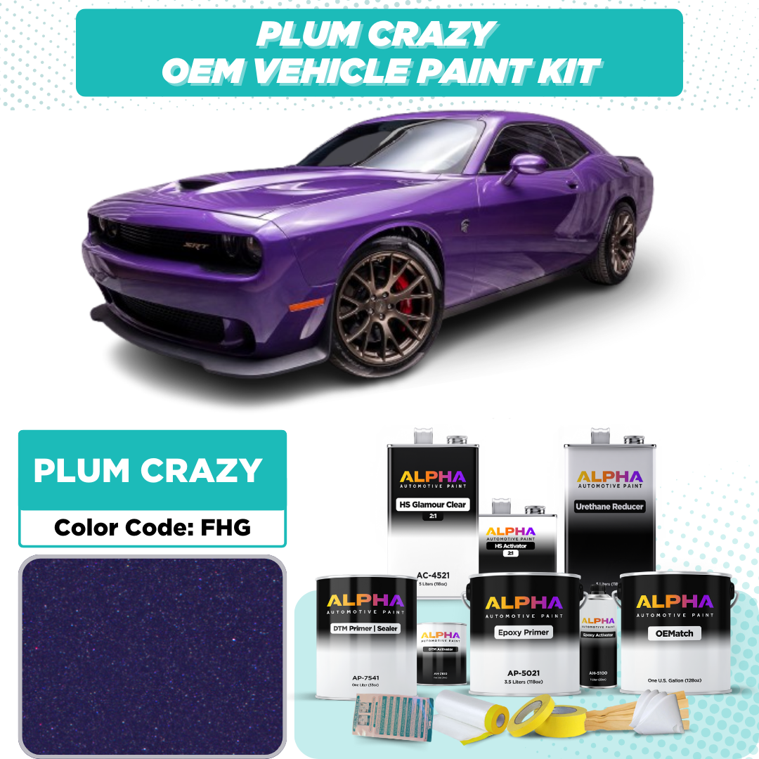 CHRYSLER USA PLUM CRAZY P. M. FHG | OEMatch Vehicle Paint Kit