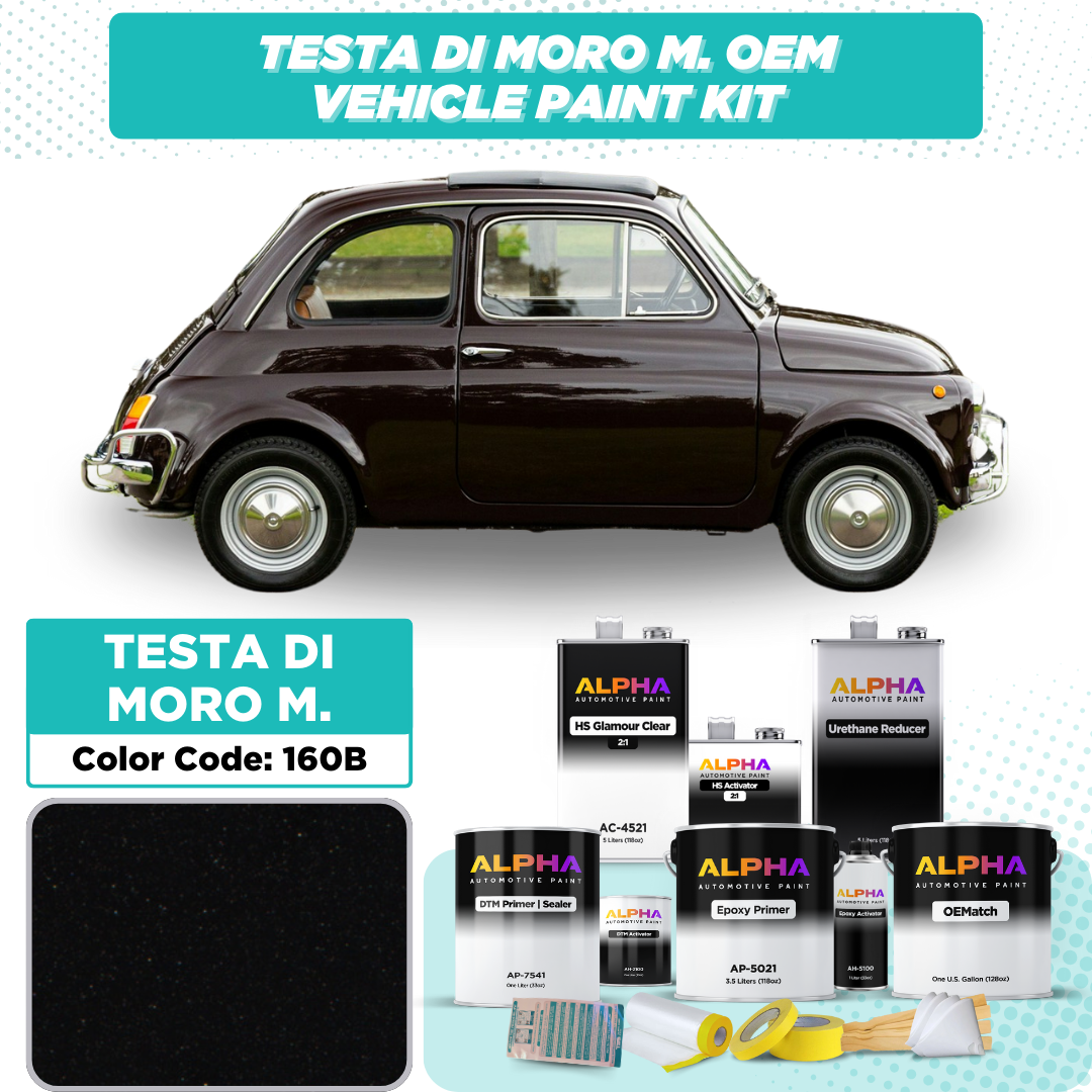 Fiat Testa di Moro Metallic 160B | OEMatch Vehicle Paint Kit