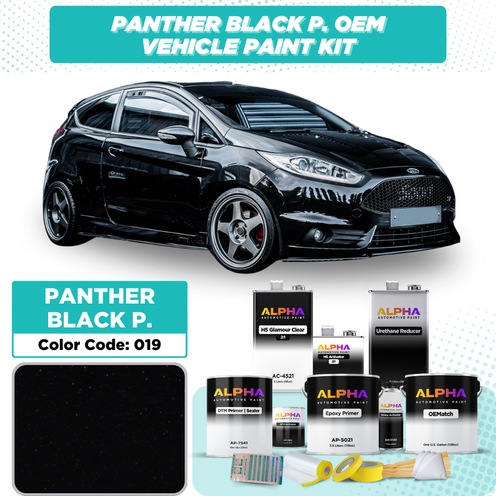 Ford Panther Black Pearl 019 / 571 | OEMatch Vehicle Paint Kit