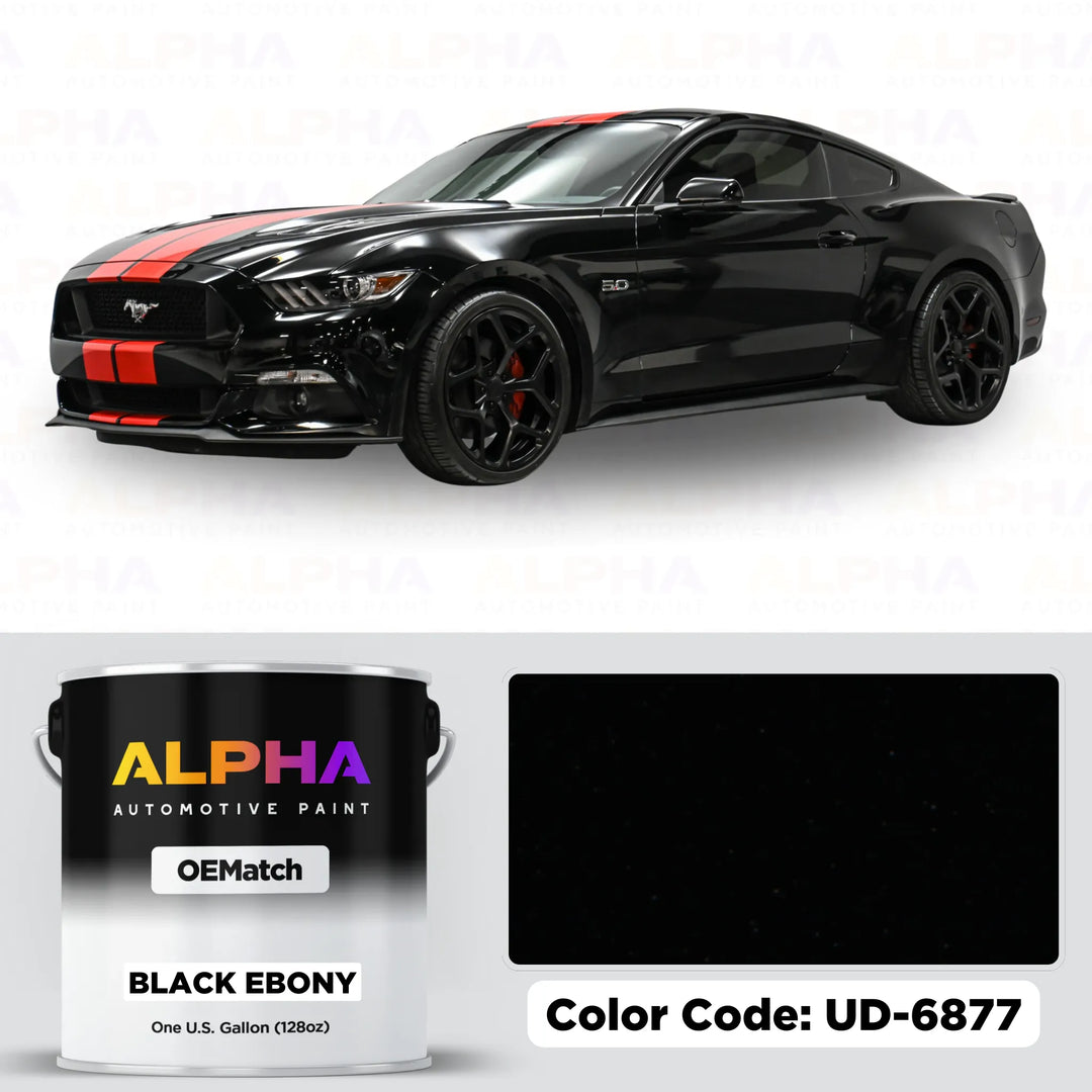 Ford Black Ebony UD-6877 / UA-6373 | OEMatch Basecoat