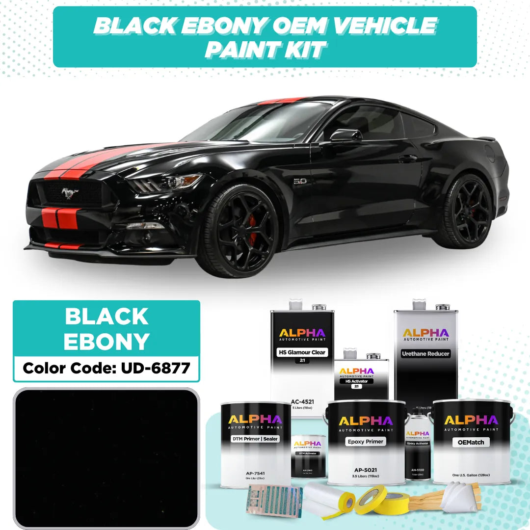 Ford Black Ebony UD-6877 / UA-6373 | OEMatch Vehicle Paint Kit