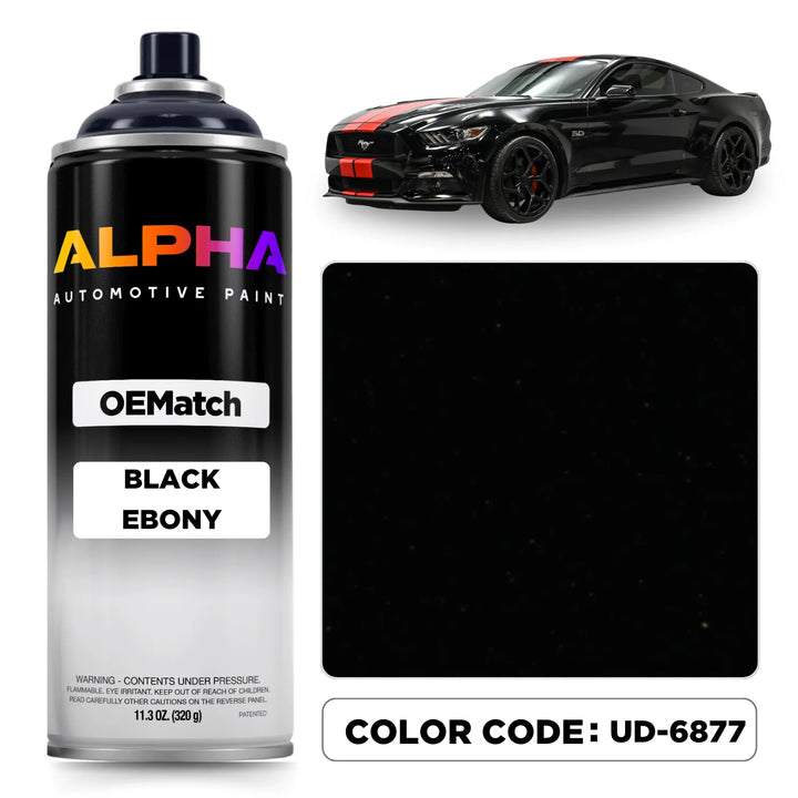 Ford Black Ebony UD-6877 / UA-6373 | OEMatch Spray Can