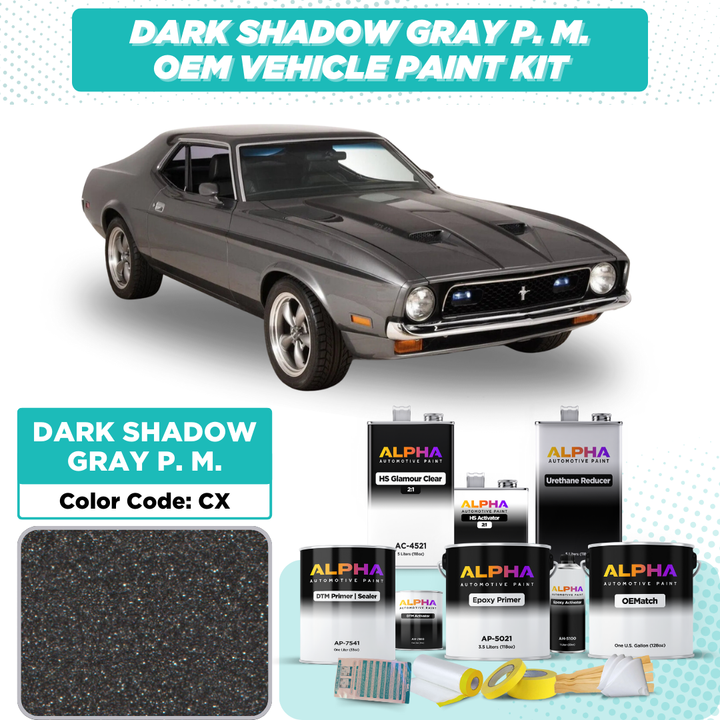 Ford  Dark Shadow Gray P. M. CX | OEMatch Vehicle Paint Kit