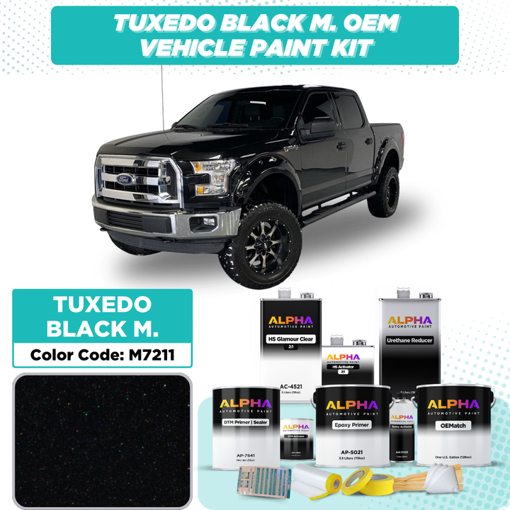 Ford Tuxedo Black Metallic M7211 | OEMatch Vehicle Paint Kit