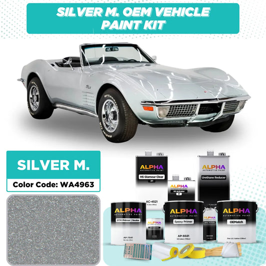 GM Silver Metallic WA4963 / 13-4963 | OEMatch Vehicle Paint Kit