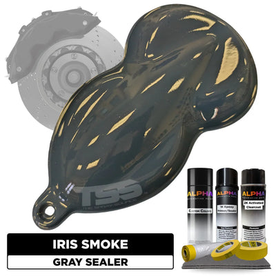 Iris Smoke Brake Caliper Paint Kit
