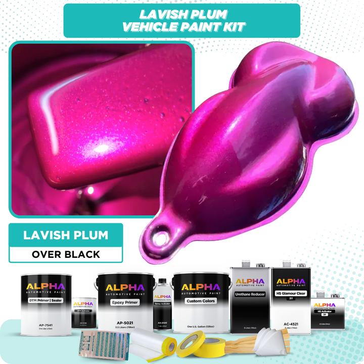 Lavish Plum Vehicle Paint Kit (Black Sealer)