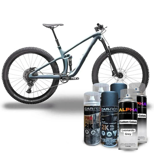 Leo-Nardo Gray Bike Paint Kit