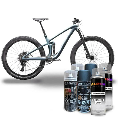 Leo-Nardo Gray Bike Paint Kit