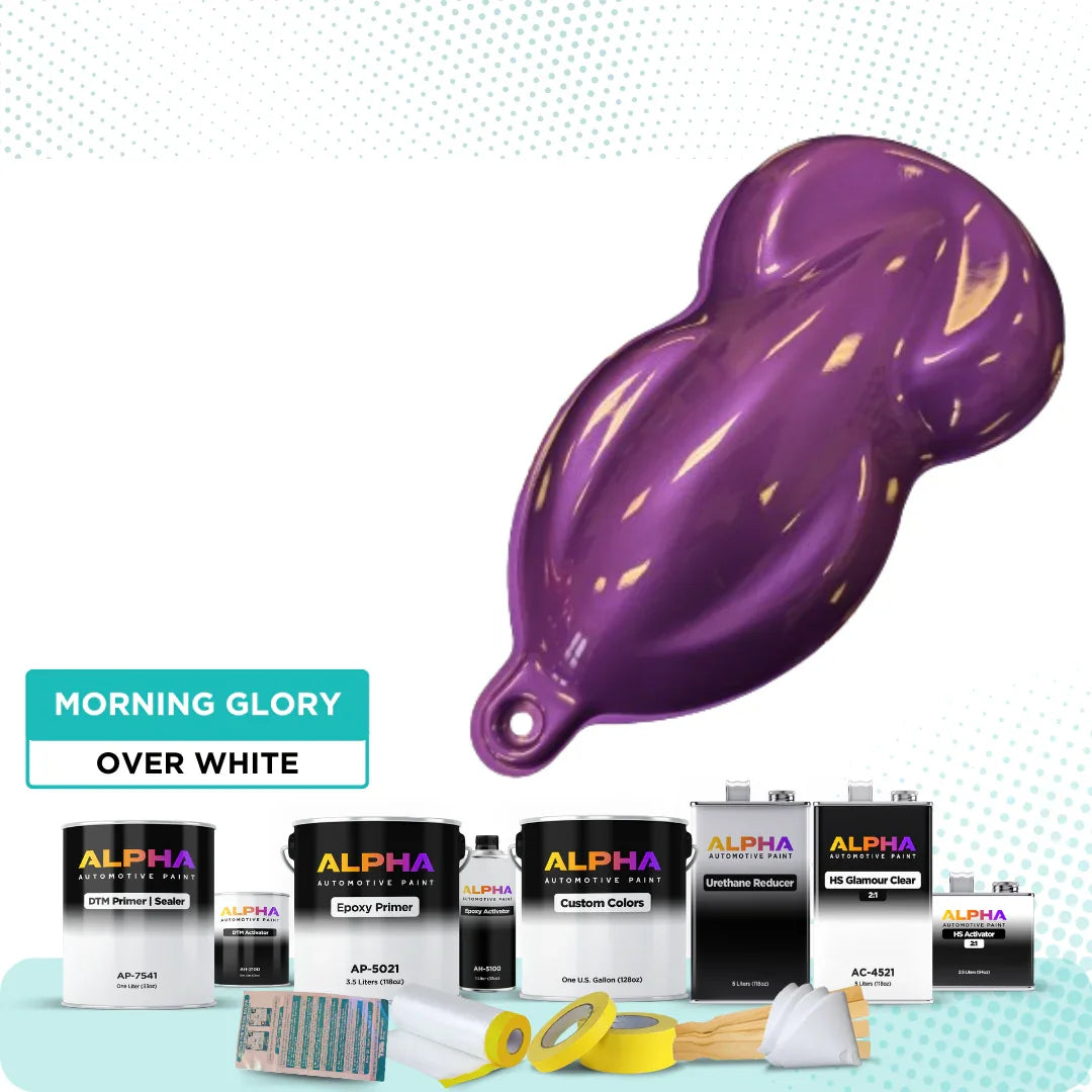 Morning Glory Vehicle Paint Kit