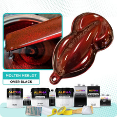 Molten Merlot Vehicle Paint Kit