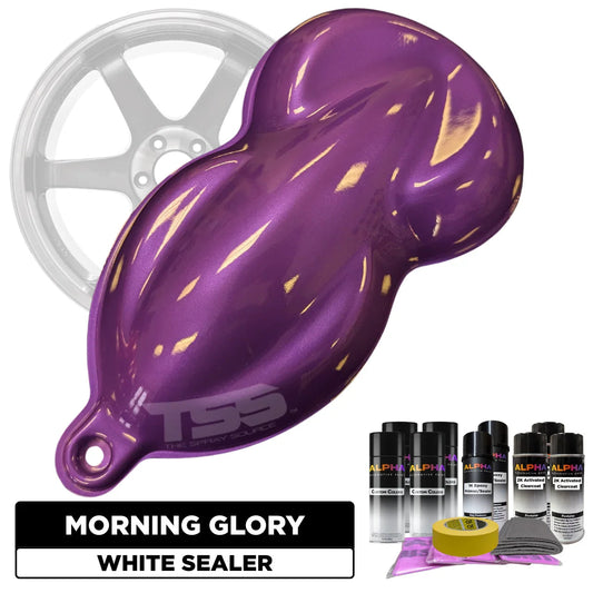 Morning Glory Wheel Paint Kit