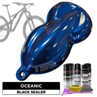 Oceanic Bike Paint Kit